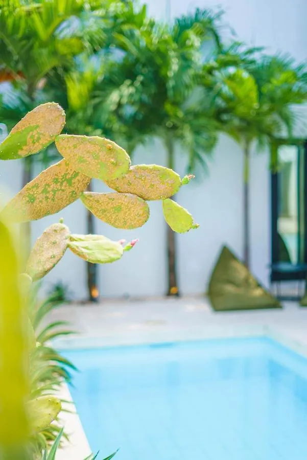 Villa Bali Townhouse 3 - Modern 2Br Villa With Pool - Perfect Location Canggu