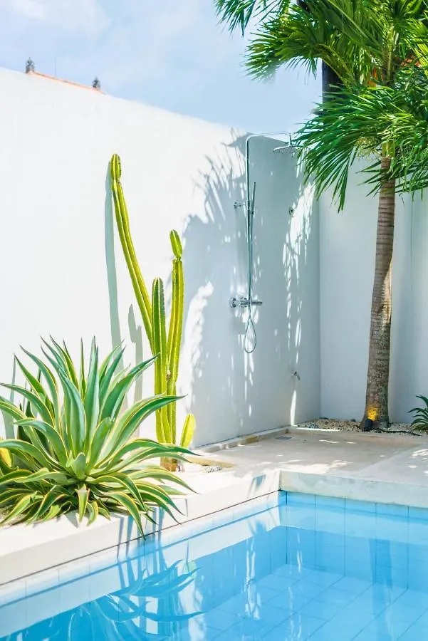 Villa Bali Townhouse 3 - Modern 2Br Villa With Pool - Perfect Location Canggu